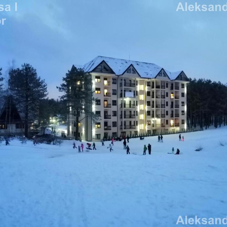 Apartman Aleksandra S27 - Vila Elsa I Zlatibor - One-Bedroom Apartment - 15