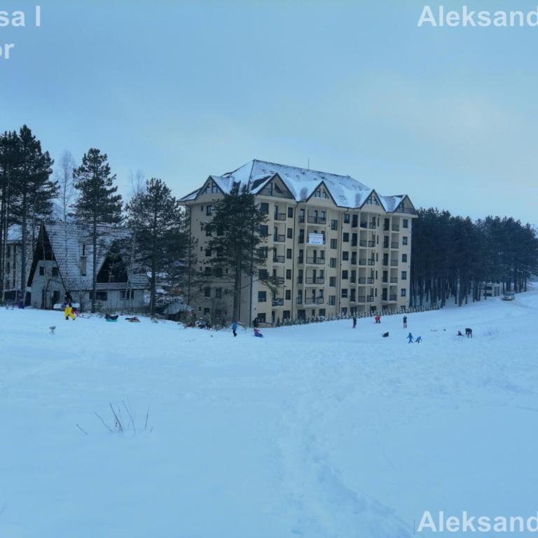 Apartman Aleksandra S27 - Vila Elsa I Zlatibor - One-Bedroom Apartment - 17