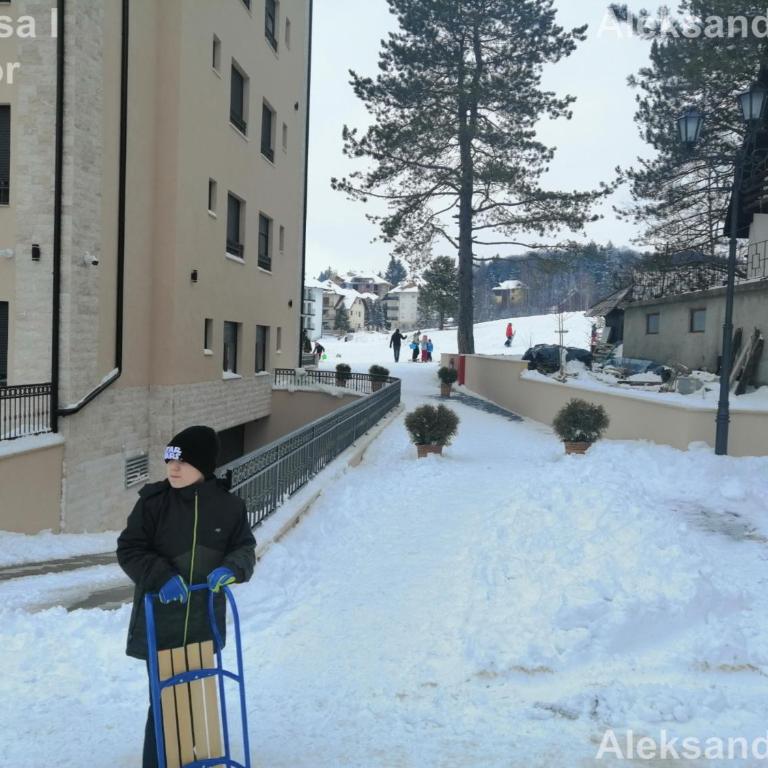 Apartman Aleksandra S27 - Vila Elsa I Zlatibor - One-Bedroom Apartment - 18