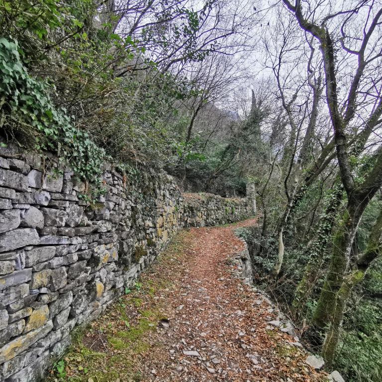 Near Villa Monastero and Castello di Vezio - Appartement - Vue sur Lac - 56