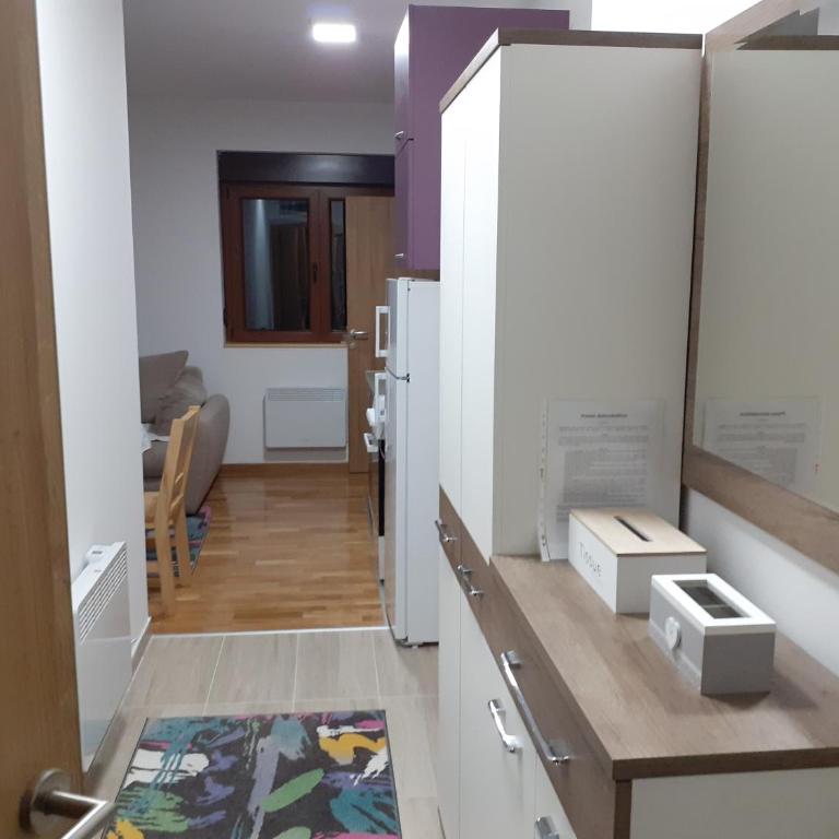 Apartman Markovic - Apartman sa 1 Spavaćom Sobom - 31