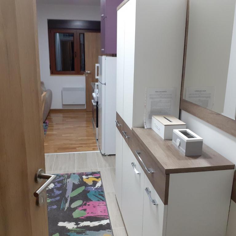 Apartman Markovic - Apartman sa 1 Spavaćom Sobom - 30