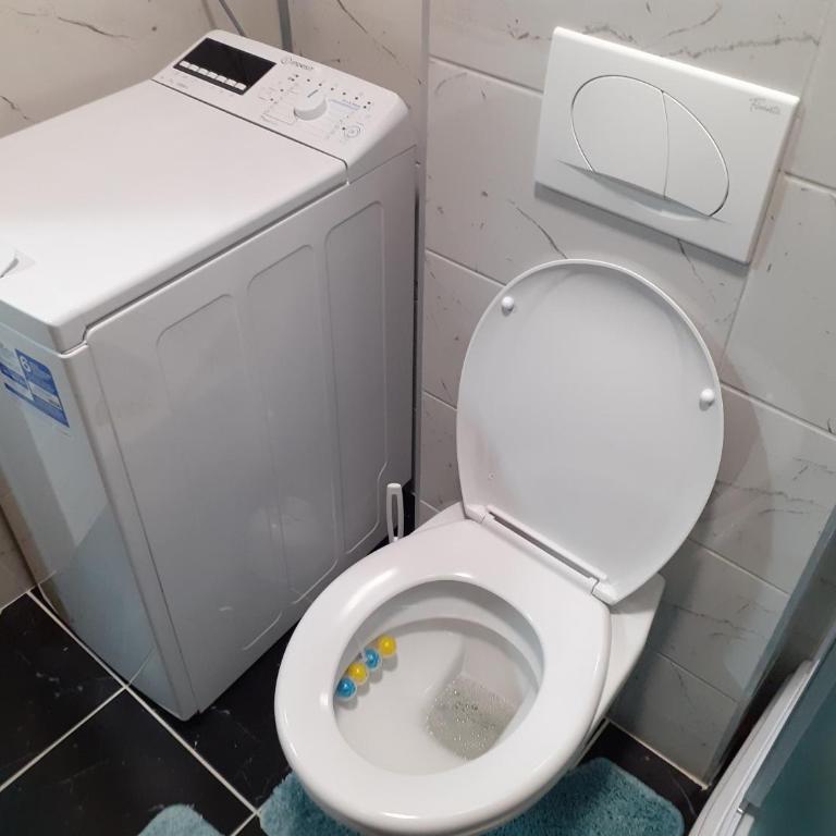 Apartman Markovic - Apartman sa 1 Spavaćom Sobom - 24