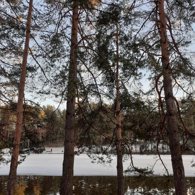 Apartman Markovic - Apartman sa 1 Spavaćom Sobom - 14