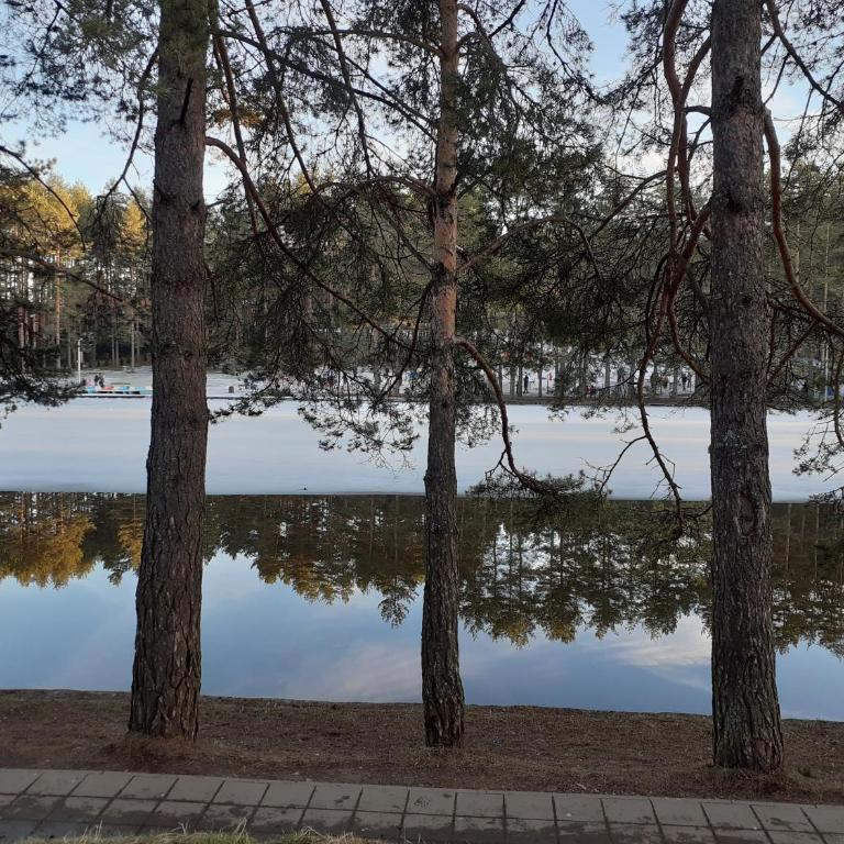 Apartman Markovic - Apartman sa 1 Spavaćom Sobom - 13