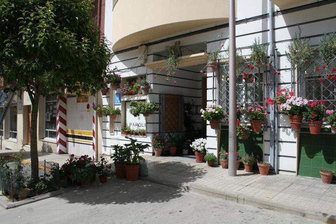 Parque - Single Room - 2