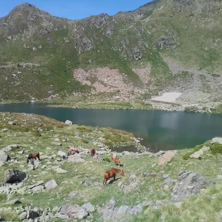 Apartamento Pleta de Soldeu - HUT 7442 - Monolocale Familiare - 27