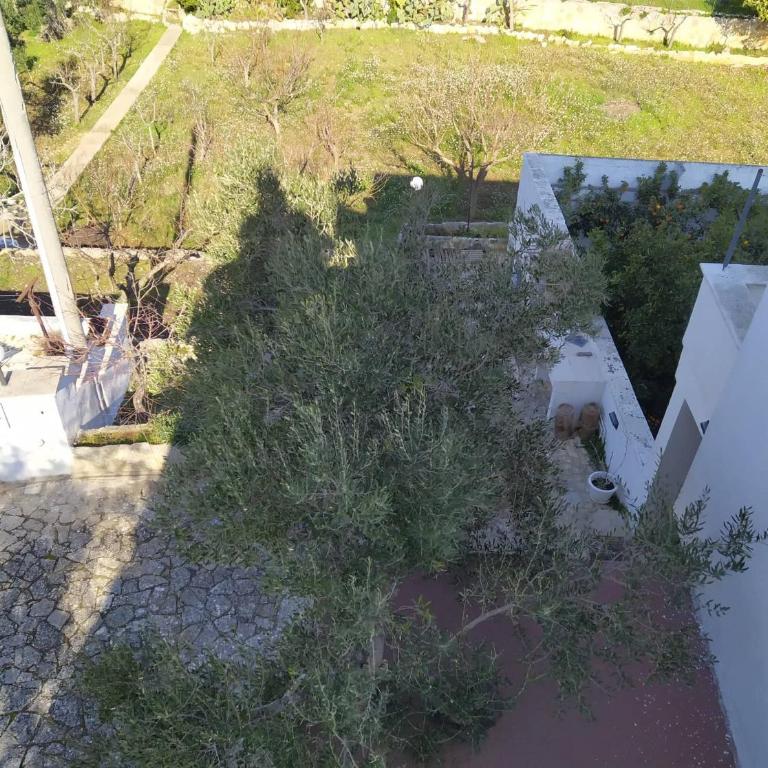 Villa Lilla - Casa Vacanze - 58