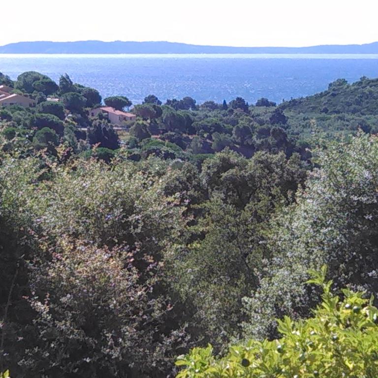 Massacan-Vue Mer - Suite de 2 dormitorios - 30