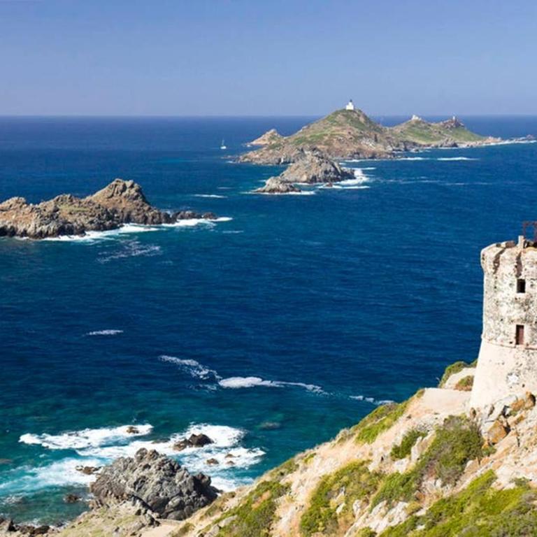 T2 route des sanguinaires vue mer panoramique - Appartement 1 Chambre - 18