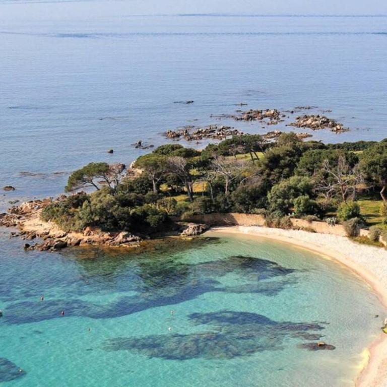 T2 route des sanguinaires vue mer panoramique - Appartement 1 Chambre - 22