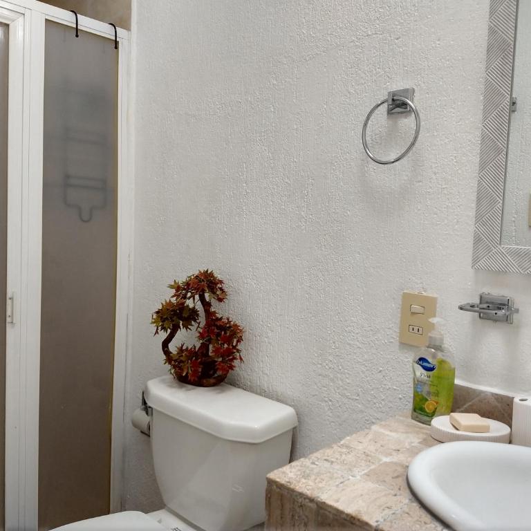 Residence Las Trojes Cdmx - Habitación Deluxe con 2 camas grandes - 6