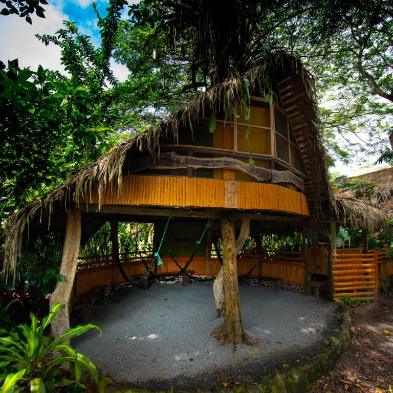 Río Muchacho Organic Farm - Single Bed in Dormitory Room - 1