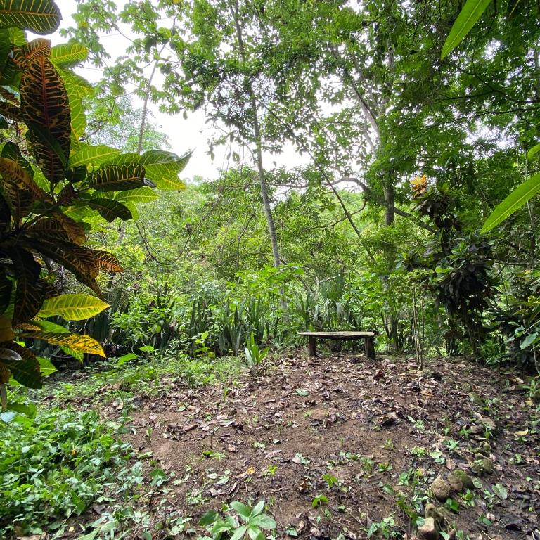 Río Muchacho Organic Farm - Tent - 1