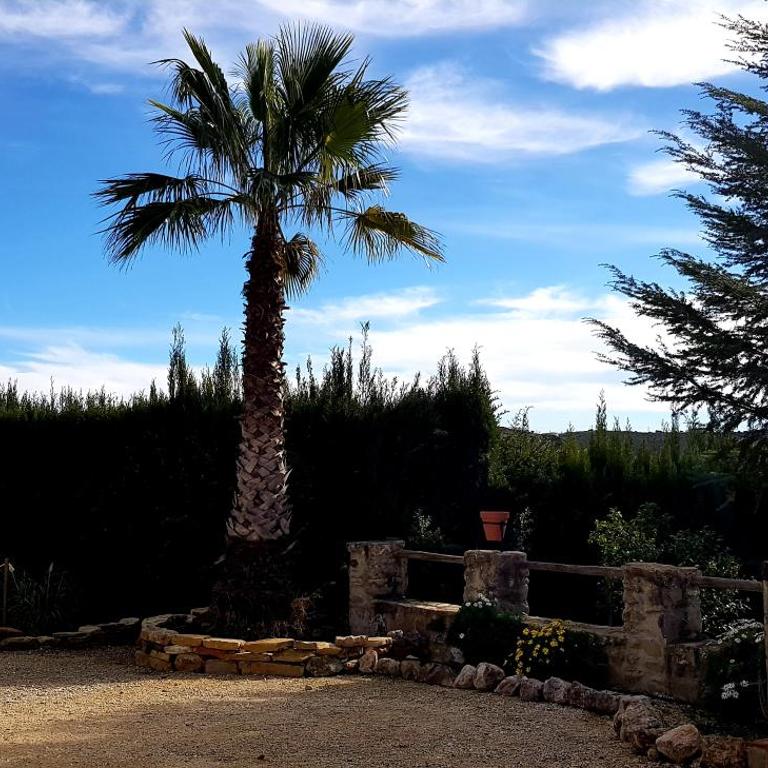 Casa Rural La Higuera Chica - Vacation Home - 5