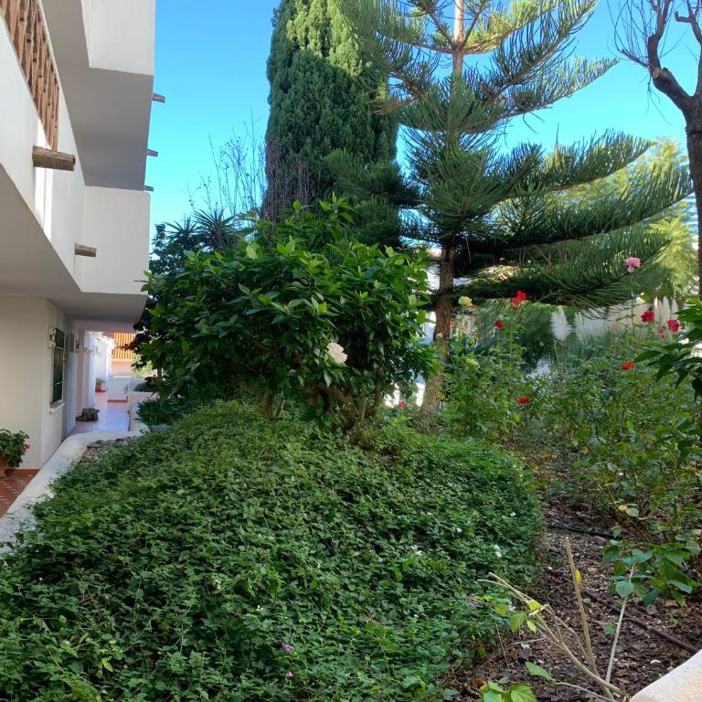 Pueblo Del Parque - One-Bedroom Apartment - 31
