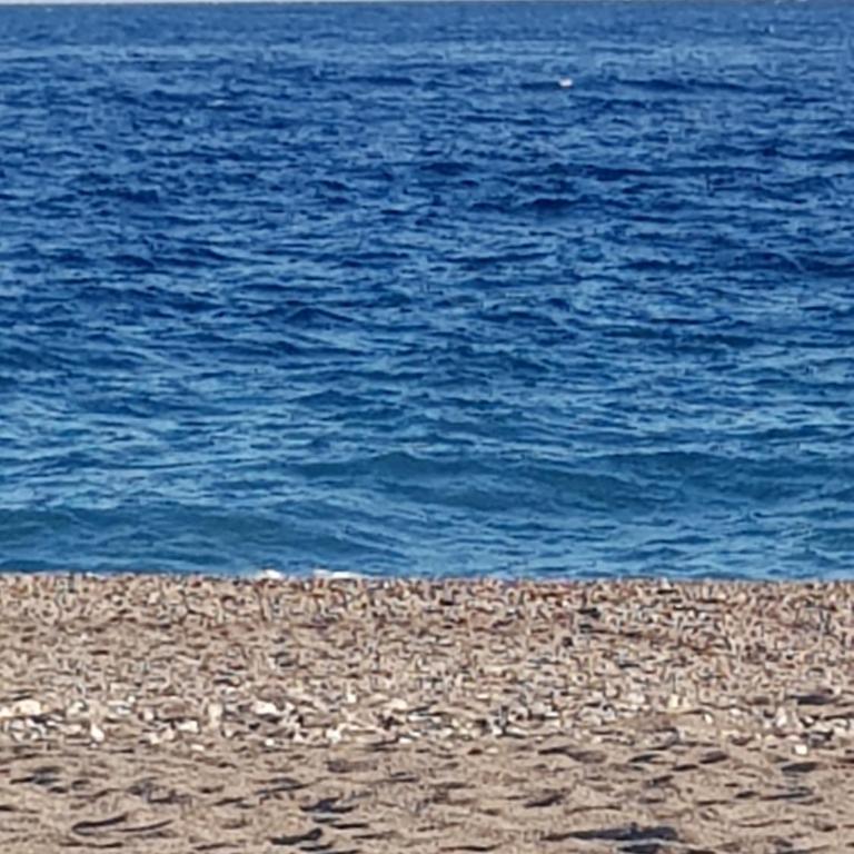 Appartamento I Puritani on the beach - Appartamento con Balcone - 25