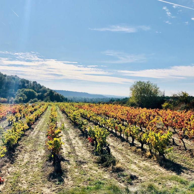 La Maison d AME - for the perfect stay at the Mont Ventoux - Maison 3 Chambres - 55