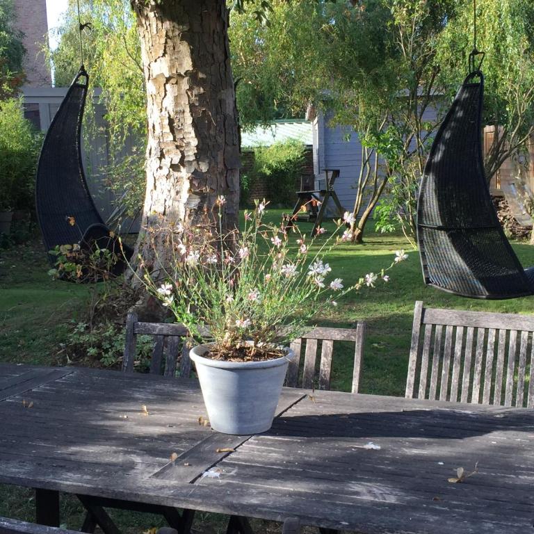 Petit cocon lillois:Cheminée & jardin - Double Room with Private External Bathroom - 8