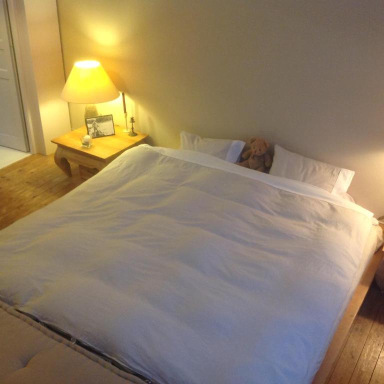 Petit cocon lillois:Cheminée & jardin - Double Room with Private External Bathroom - 23