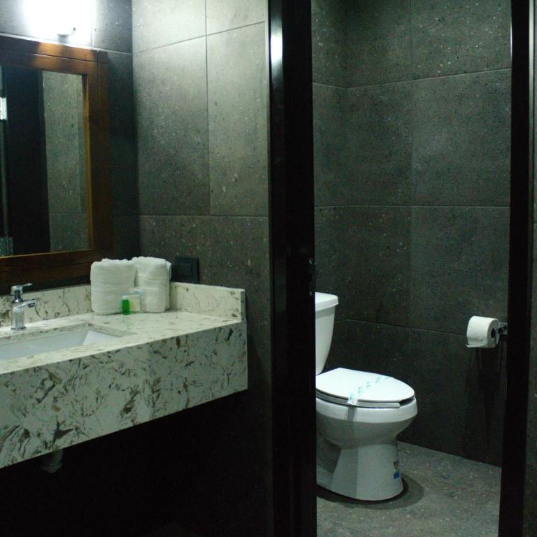 Motel Boutique Xpress - Suite Deluxe con cama extragrande - 6