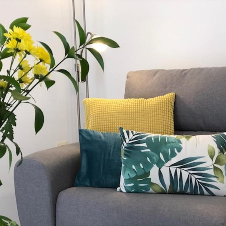 Jimena - Apartamento - 1