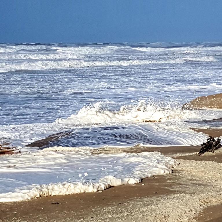 LES VAGUES, plage et centre à pied, terrasse rez-de-ch, parking gratuit, lits faits, animal bienvenu - Apartment - Erdgeschoss - 39