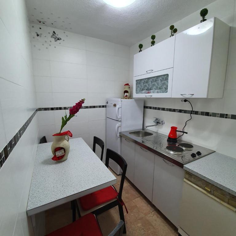 Apartman Vladan - Apartman sa 2 Spavaće Sobe - 41