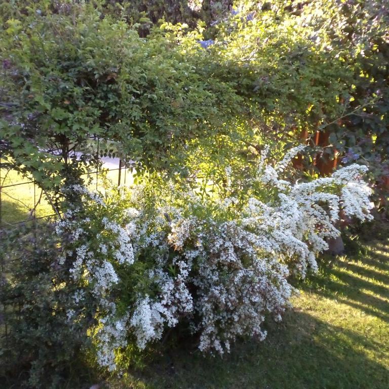 La Casita de Li - Apartment - Ground Floor - 15