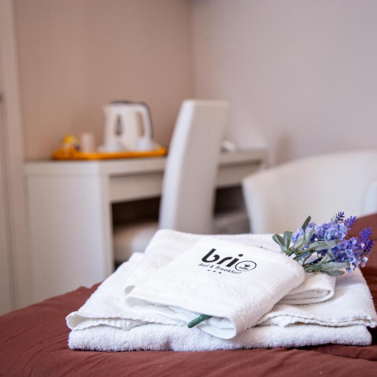 Brio Bed & Breakfast - Camera Matrimoniale Deluxe con Balcone - 5