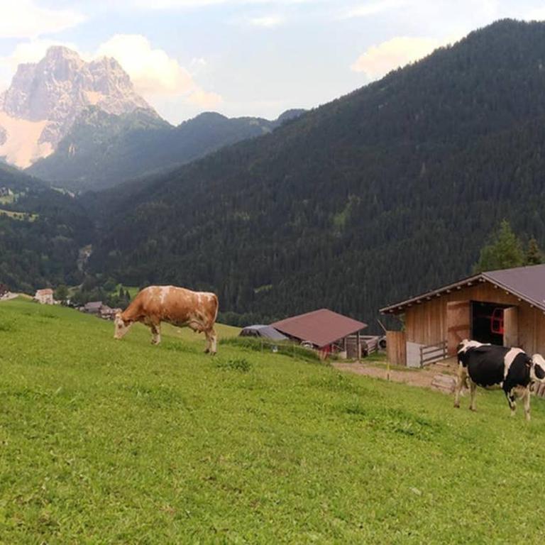 La Majon - Appartamento con 3 Camere da Letto - 18