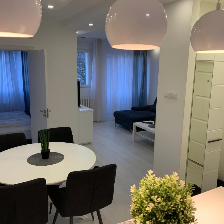 CENTRAL APARTMENT - Apartman sa 2 Spavaće Sobe - 4