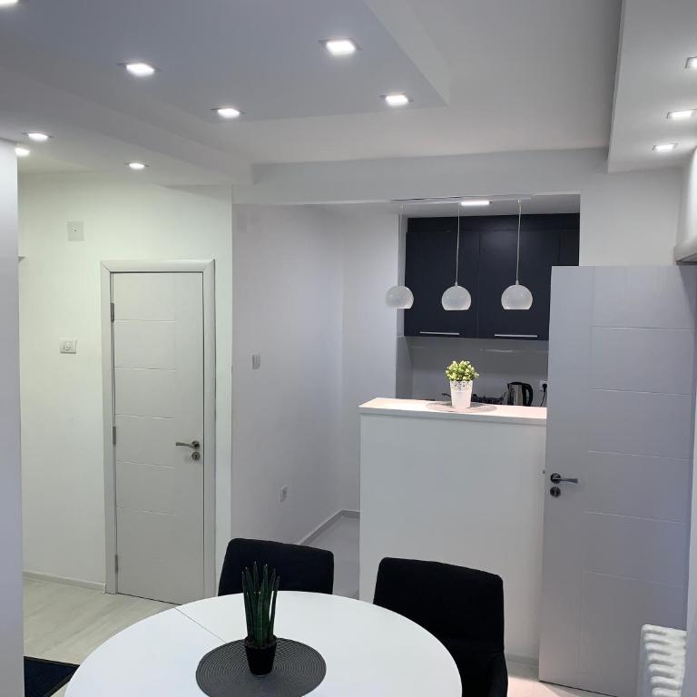 CENTRAL APARTMENT - Apartman sa 2 Spavaće Sobe - 2