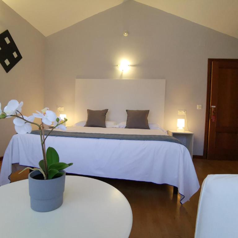 Hotel El Trasgu - Habitación Doble Superior - 1