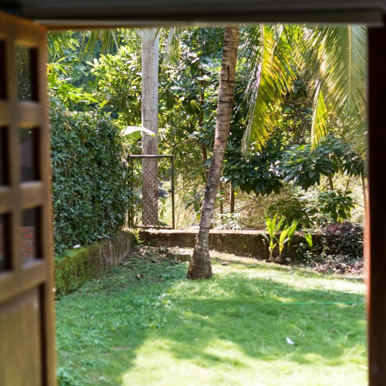 Rio Hostel Buritaca - Cama en habitación compartida mixta de 6 camas - 1