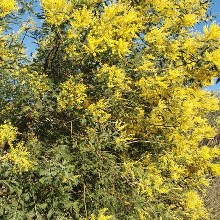 Holiday Home Nives - Villa with Sea View - 30