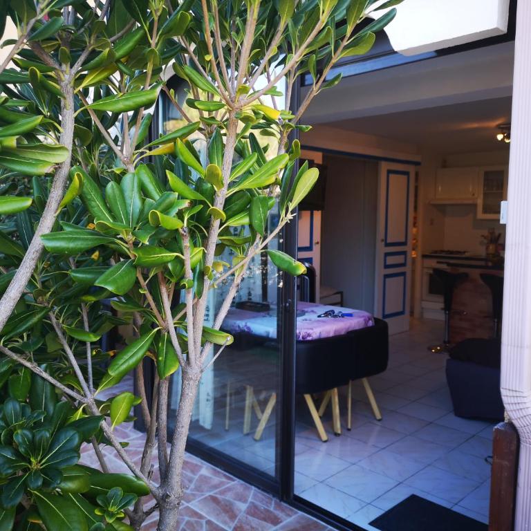 MAS de La Mer - Appartamento con Terrazza - 1