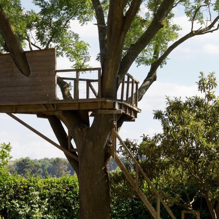 Domaine de la JASSO, Demeure de grand luxe au pied de la Cité de Carcassonne, piscines et parc animalier - Ferienhaus - 24