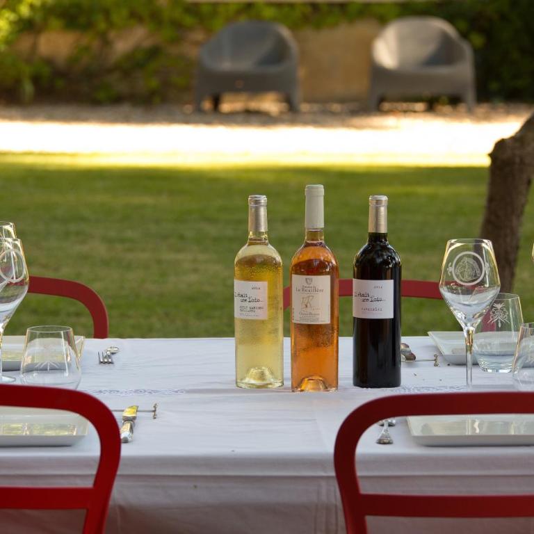 Domaine de la JASSO, Demeure de grand luxe au pied de la Cité de Carcassonne, piscines et parc animalier - Ferienhaus - 34