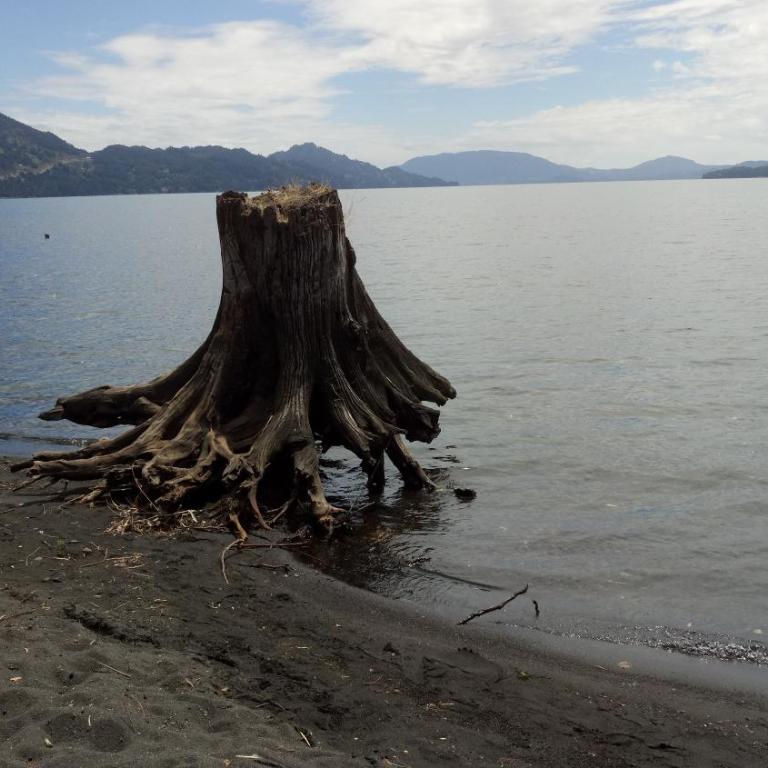 Cabaa Hualle con hot tub exclusivo cerca de termas y lago - Habitación Familiar - 18