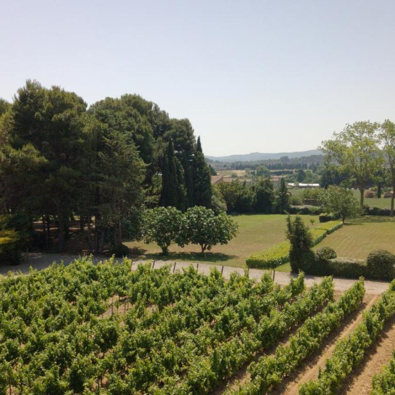 Domaine de la JASSO, Demeure de grand luxe au pied de la Cité de Carcassonne, piscines et parc animalier - Ferienhaus - 26