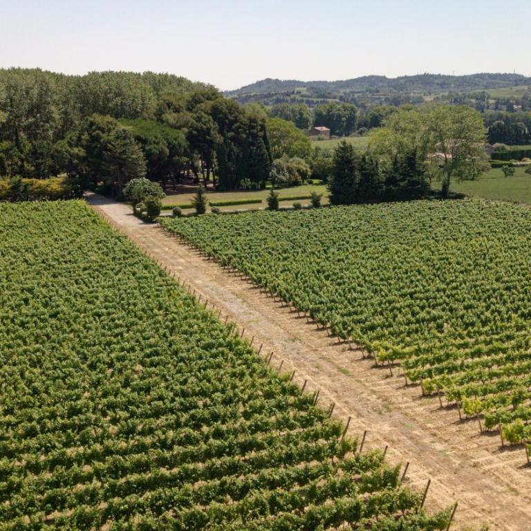 Domaine de la JASSO, Demeure de grand luxe au pied de la Cité de Carcassonne, piscines et parc animalier - Ferienhaus - 27