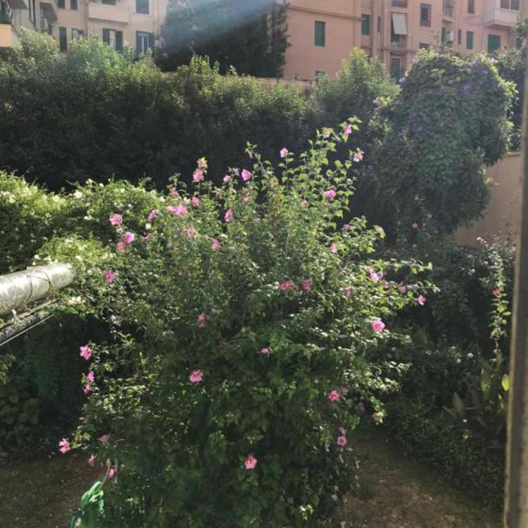 CRIS - close to VATICAN - Centre&StadiumArea - Appartement 1 Chambre - 31