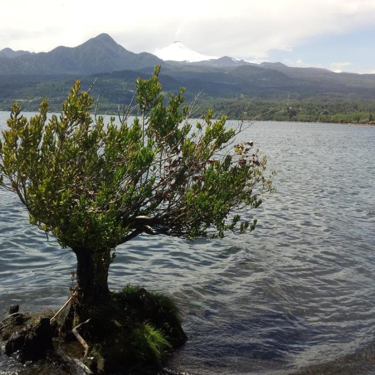 Cabaa Hualle con hot tub exclusivo cerca de termas y lago - Habitación Familiar - 16