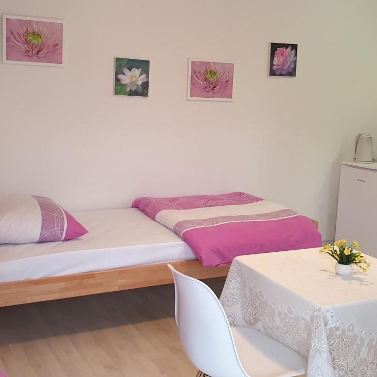 Accommodation Vesa - Studio with Terrace - 4