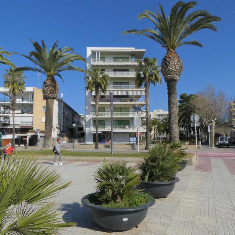 Zeus Auriga - Apartamento - 26