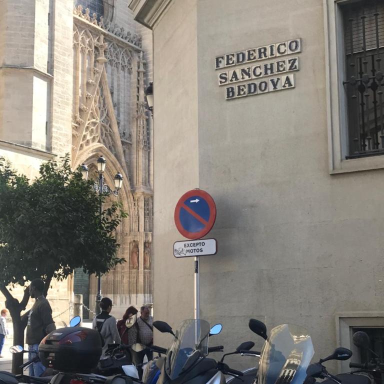Apartamento a 60 metros de la Catedral - Apartamento de 1 dormitorio - 14