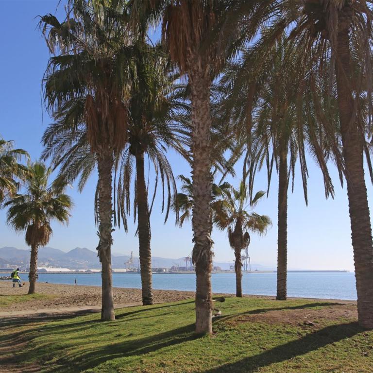 Love Rent4 Málaga Ático con terraza y vistas, parking gratuito - Apartamento de 2 dormitorios - 15