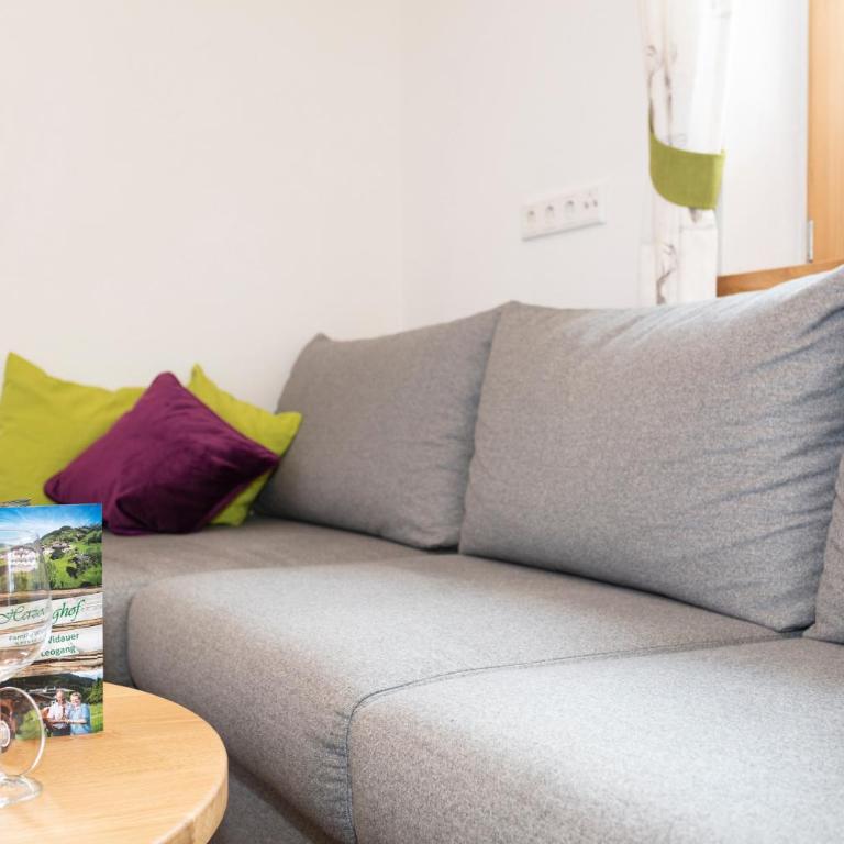 Ferienhaus Widauer Herzoghof - Appartamento - Piano Terra - 10