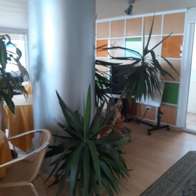 Departamento en Reñaca - Two-Bedroom Apartment - 9